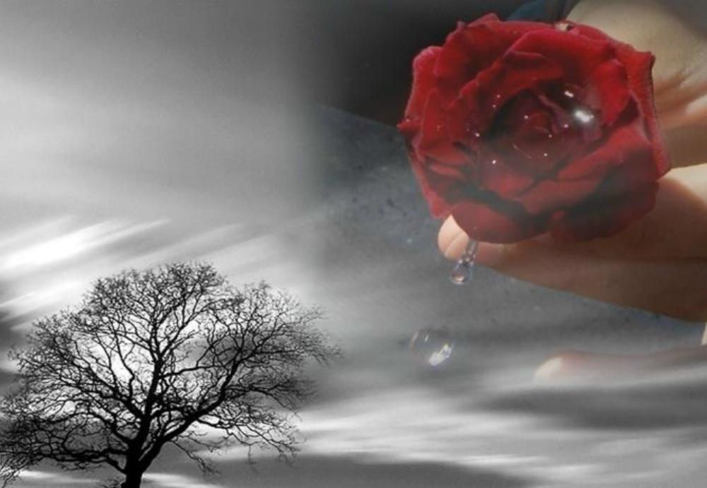 I “LUPI” VICINI ALLA FAMIGLIA COMPARINI