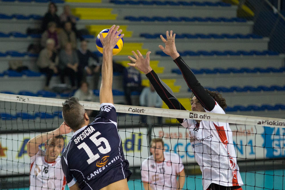 “LUPI”-SIENA, SECONDA ED ULTIMA PARTE