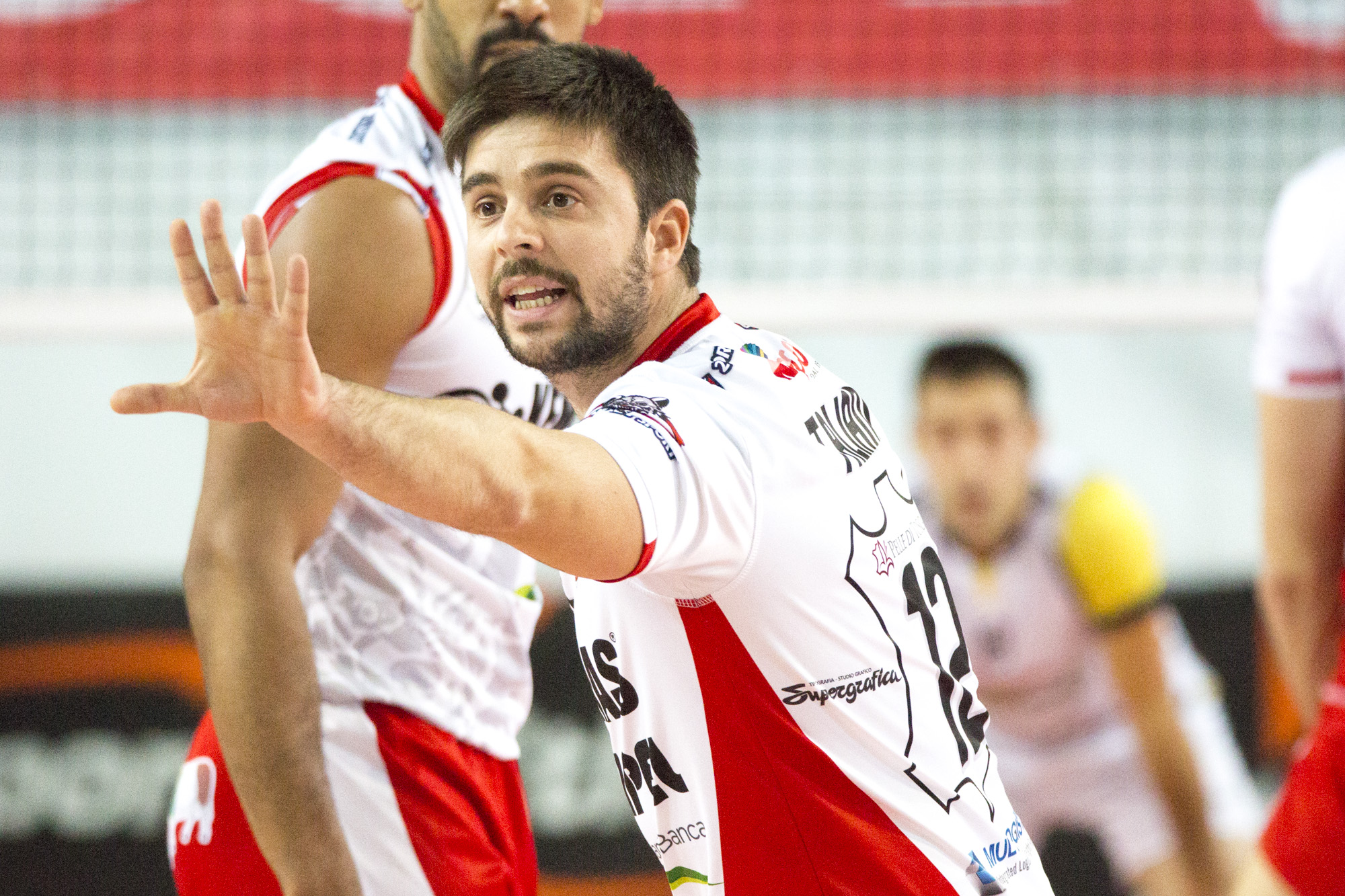 PER “PENNELLINO” TALIANI CONFERMA SCONTATA AI “LUPI”