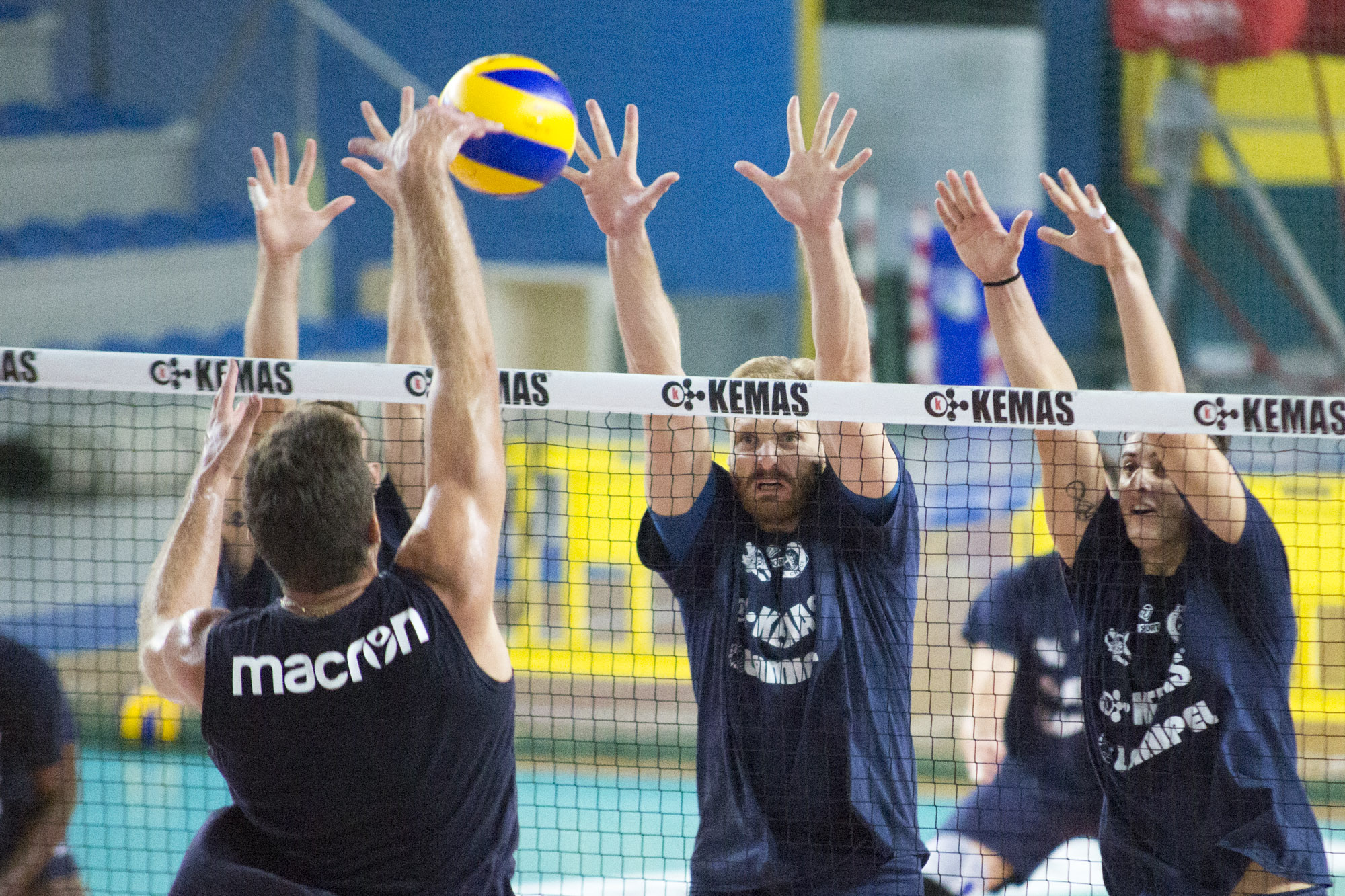 LUPI A LA SPEZIA, OSPITI DEL MASSA