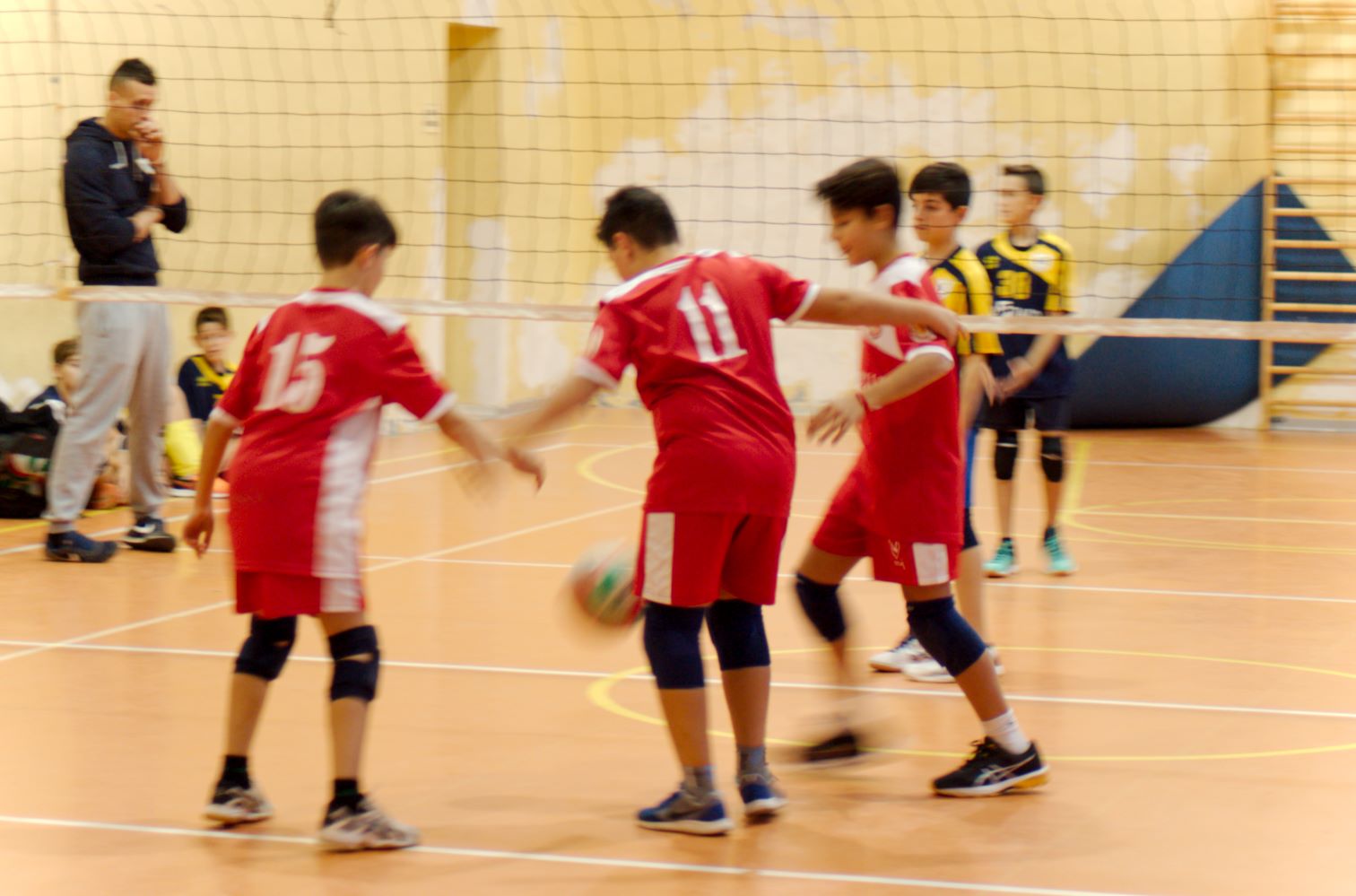 CUCCIOLI DI LUPO CRESCONO