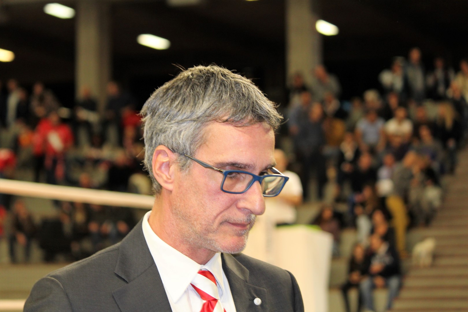 PAGLIAI SPRONA I LUPI IN VISTA DI AVERSA